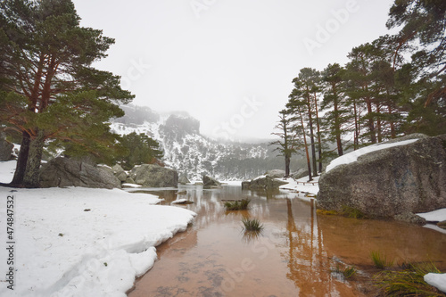 snowy landscape with pine trees and lake with brown water