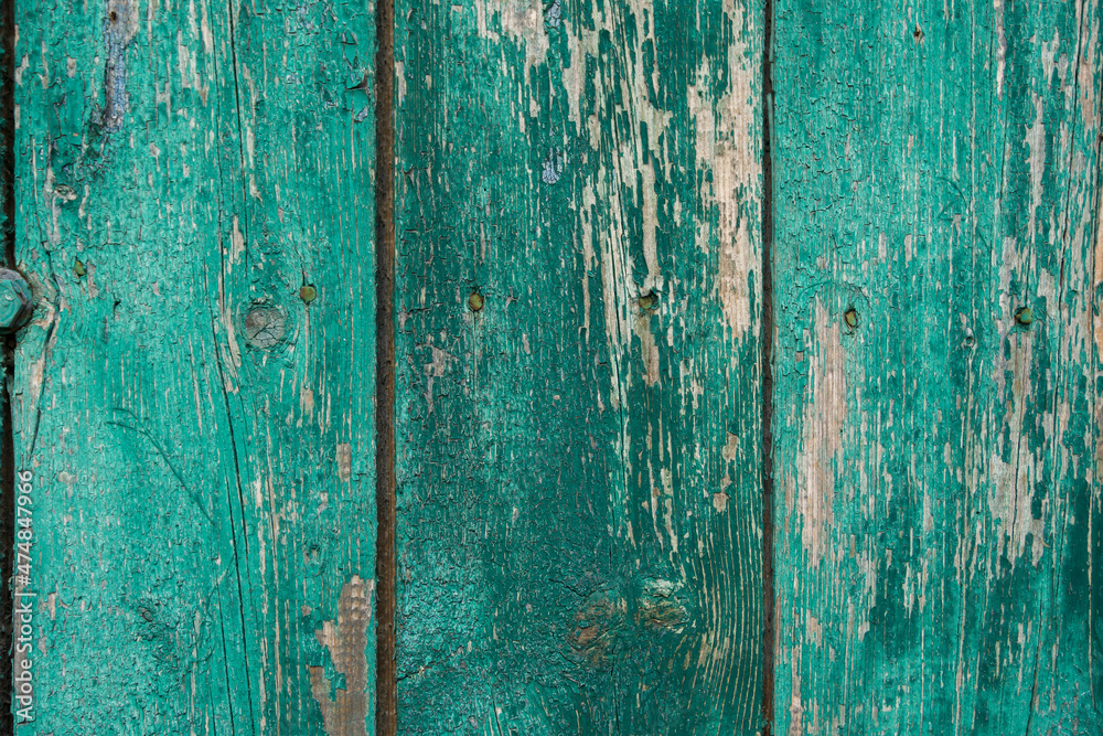 texture of a wooden fence.  fence painted green.  peeling paint on an old fence.  old wood texture.  photo can be used as a photophone, as a texture