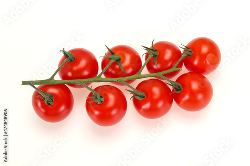 Red bright ripe tomato branch
