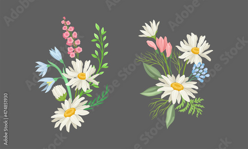 Bunch of wildflowers and chamomiles set. Wild blooming meadow flowers, decorative floral design vector illustration