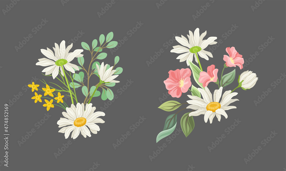 Bouquet of wildflowers set. Wild blooming meadow flowers bunches, decorative floral design vector illustration