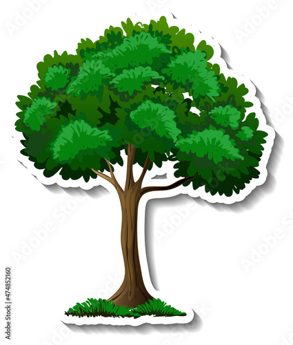 Tree sticker on white background