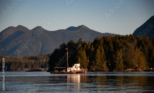 Tug Boat sailing along coastline, Anchor, Tofino, Vancouver Island, Vancouver, British Columbia, Canada photo