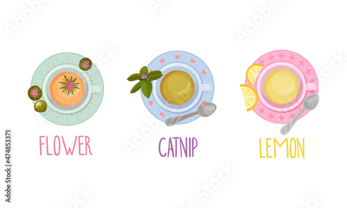 Hot aromatic tea set. Top view of teacup with flower, catnip, lemon tea vector illustration