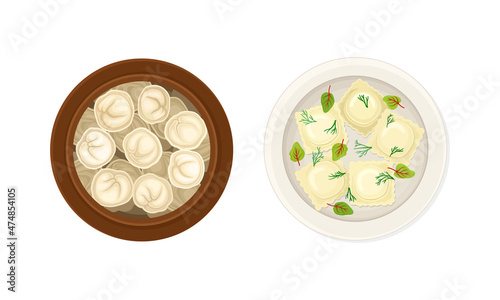 Set of dumplings on plates. Pierogi and pelmeni made of dough stuffed with meat or vegetables vector illustration