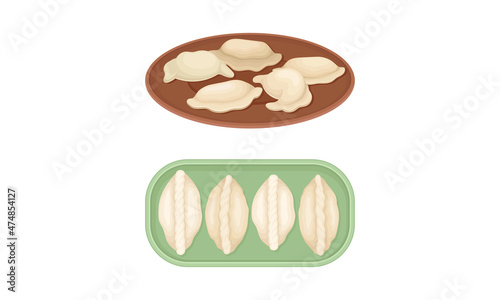 Set of dumplings on plate and wooden board. Dough stuffed with meat or vegetables vector illustration