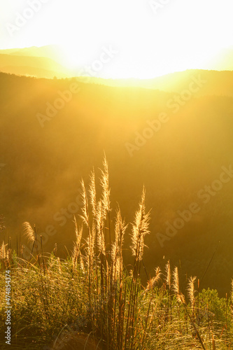 golden hour: nascer do sol nas montanhas 