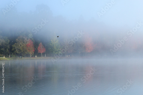 paisagem de outono com folhas coloridas e neblina no Lago s  o Bernardo em S  o Francisco de paula  Rio Grande do Sul