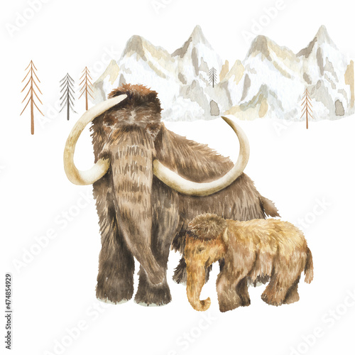 Watercolor illustration of extinct animals of mom mammoth and baby mammoth. Perfect for printing, web, textile design, souvenir products.