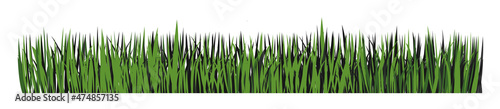 Green grass horizontal banner. Green grass. Grass silhouette.