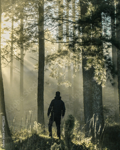 silhueta de homem caminhando entre árvores na floresta com raio de sol  photo
