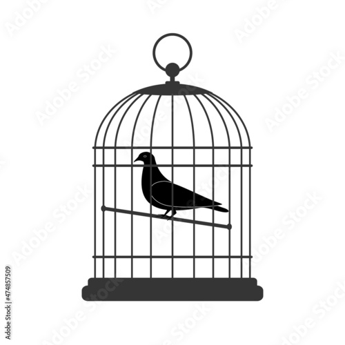 Bird in cage, vector illustration