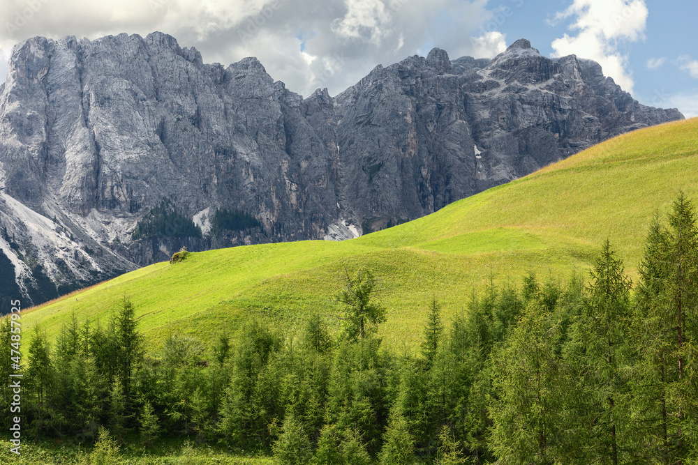 Forest, green hill and Italian Dolomites, Minimalistic landscape