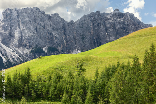 Forest, green hill and Italian Dolomites, Minimalistic landscape