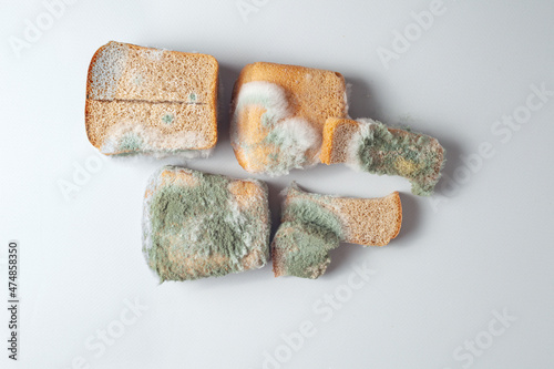 on pieces of bread mold of different colors and sizes is visible