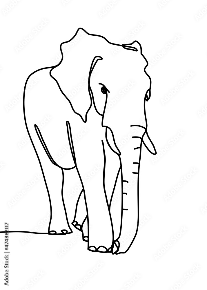 One continuous line drawing, elephant was walking looking for something One continuous line drawing, elephant was walking looking for something