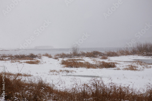 Wallpaper Mural Scenic view of snowy terrain with leafless shrubs under gray sky in blizzard Torontodigital.ca