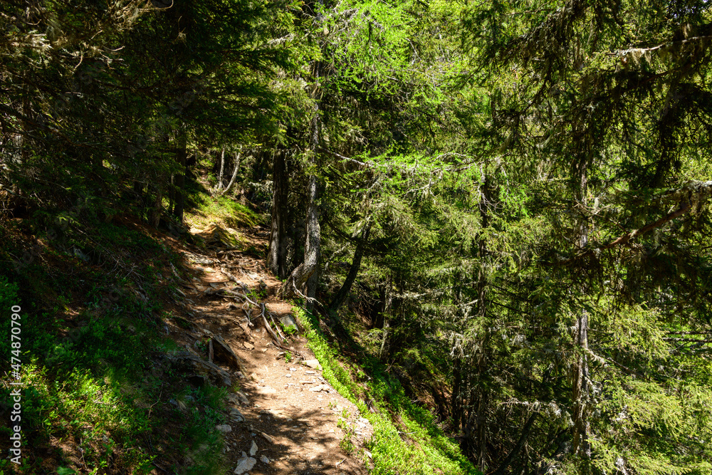 A hiking trail in the Mont Blanc massif in Europe, France, the Alps, towards Chamonix, in summer, on a sunny day.