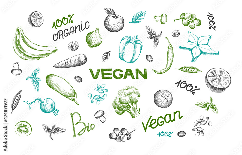 set of vegan illustrations for menu or banner design. Line art of vegetables and fruits isolated on white background. Lettering of the words vegan, organic, bio