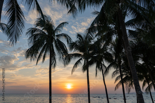 Palm trees during sunset by the sea.