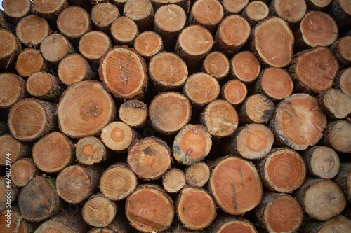 Holzstapel / Holzpolter