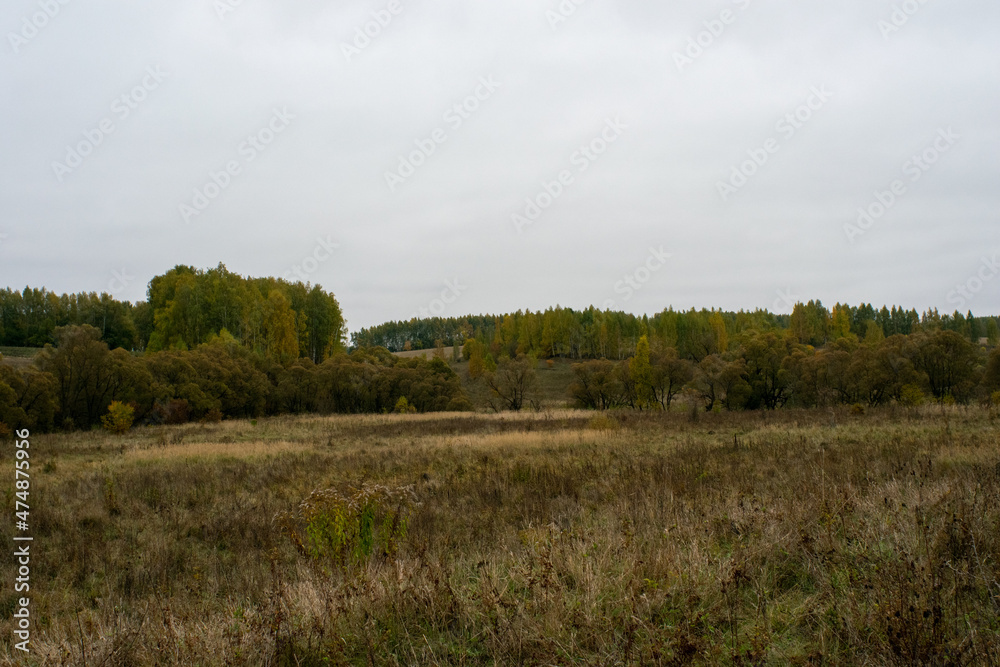 landscape on a cloudy autumn day landscape on a cloudy autumn day