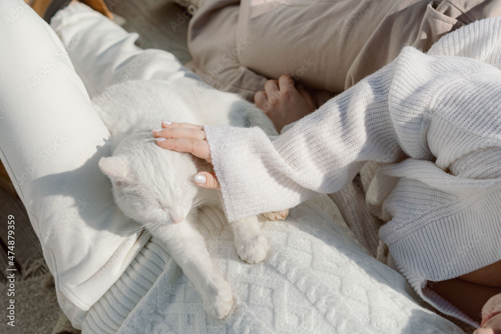 A girl in a white sweater stroking a white cat A girl in a white sweater stroking a white cat