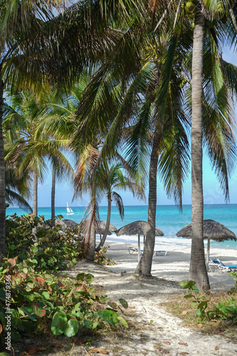 Paisaje de playa del caribe