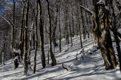 Fototapeta Naklejka Na Ścianę i Meble -  Bieszczady zimą