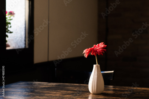 fiore Gerbera su vaso photo