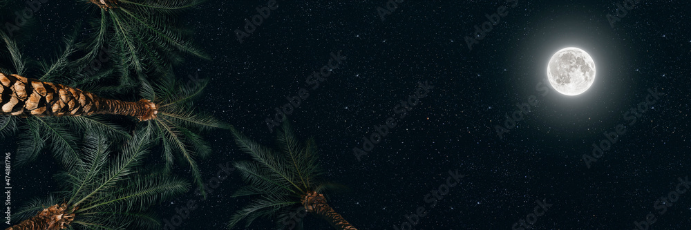 The moon shines over palm trees at Christmas