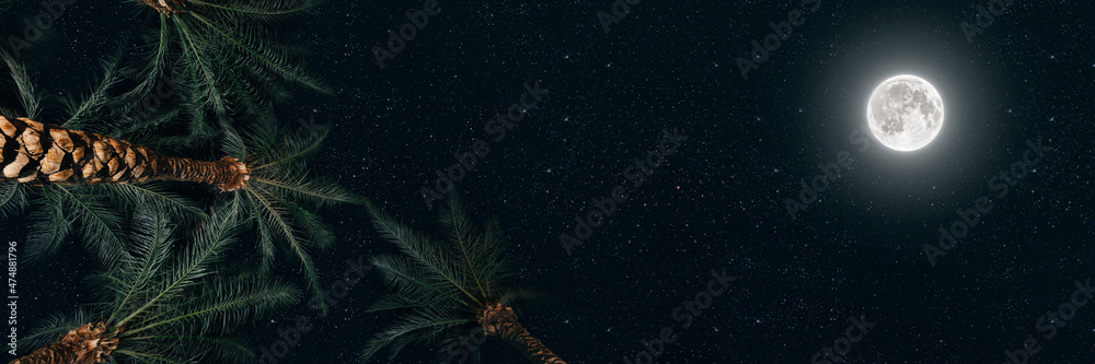 Fototapeta premium The moon shines over palm trees at Christmas