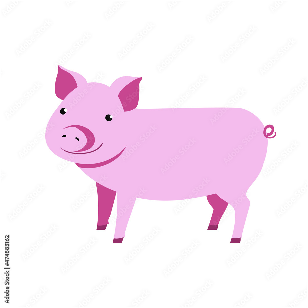 Pink pig isolated on white background