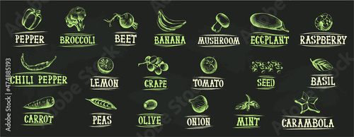 product names and line art illustrations of vegetables and fruits in grunge style for publishing recipes or menus. Graphic elements and lettering for banners or ads