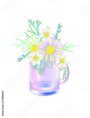 a bouquet of chamomile in a jar. Herbal engraved style illustration.