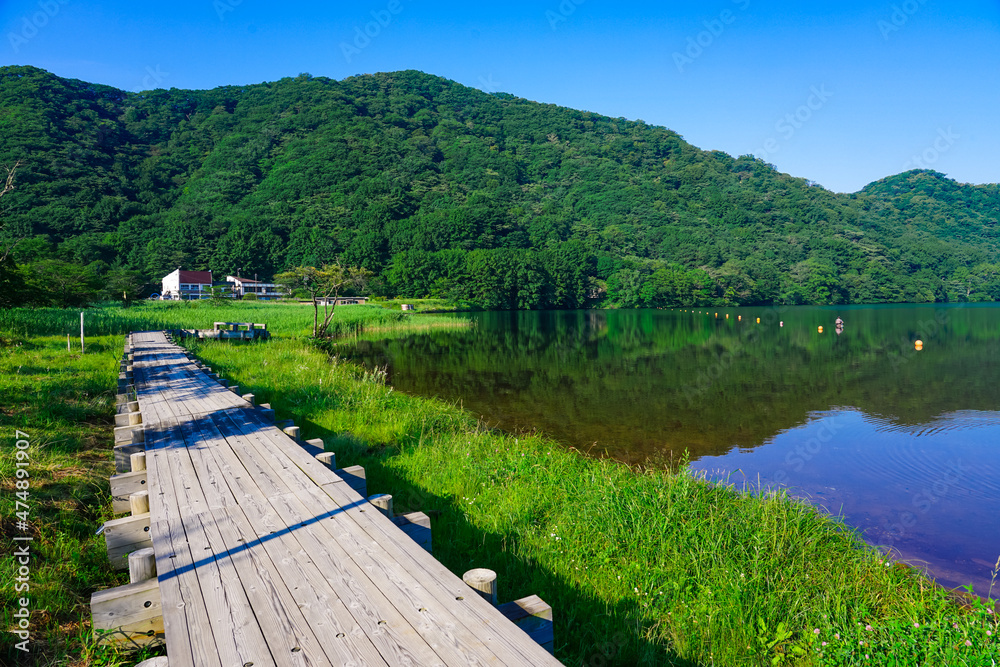 榛名湖畔の湿原に続く木道、県立榛名公園(群馬県高崎市) 榛名湖畔の湿原に続く木道、県立榛名公園(群馬県高崎市)