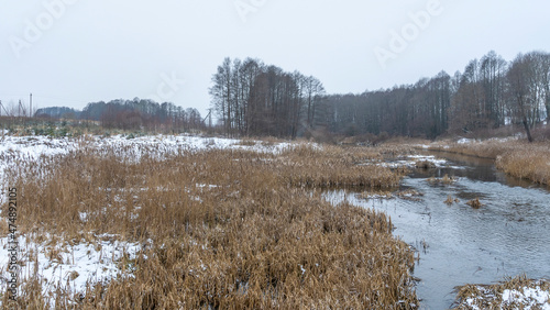 Wallpaper Mural Winter landscape of a small river in early winter on a cloudy day. River dry grass in the crystals. Torontodigital.ca