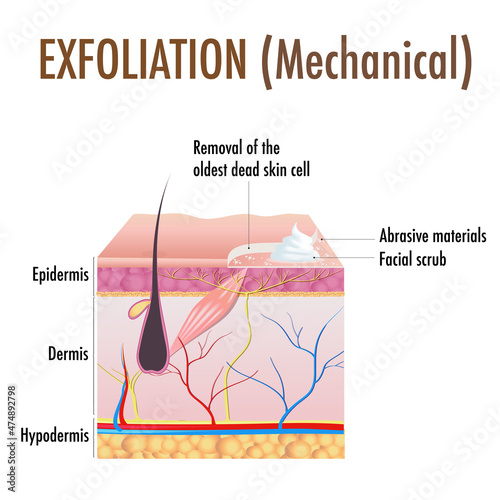 Exfoliation. Peeling or Physically scrubbing.  Exfoliation is removal of the old dead cells on the skin's outer surface. Cross-section skin layers