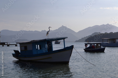 Boat with white heron on the roof in an inlet of Ilha do Araujo, in Paraty, Brazil, at dusk, with Serra da Bocaina in the background photo