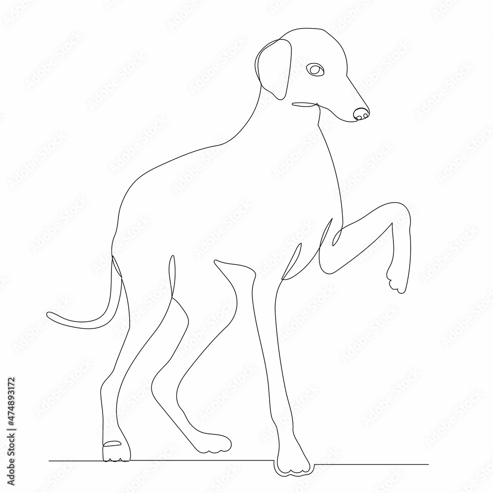 dog, drawing by one continuous line, sketch dog, drawing by one continuous line, sketch