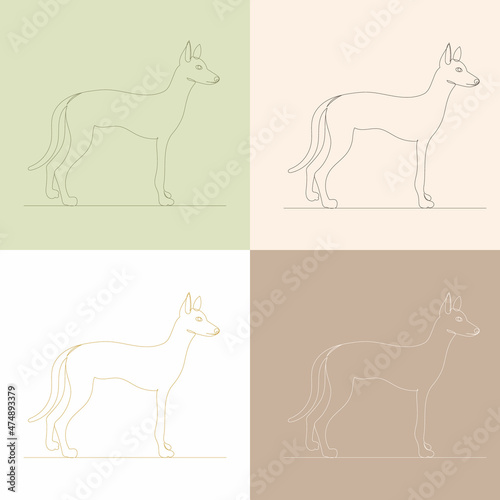 dog  drawing by one continuous line  on the background sketch  vector