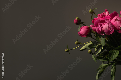 Fototapeta Naklejka Na Ścianę i Meble -  Pink peony flowers bouquet on black background. Minimalist elegant aesthetic floral composition