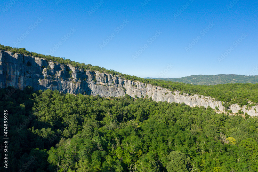 A cliff in the middle of the forest of the Gorges de lArdeche in Europe, France, Ardeche, in summer, on a sunny day.
