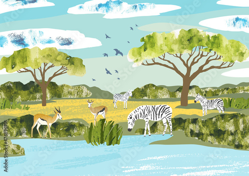 African landscape. Zebras and antelopes congregate around a waterhole. Nature vector Illustration with animals, birds, trees and clouds. Nature illustration for touristic, safari and zoo