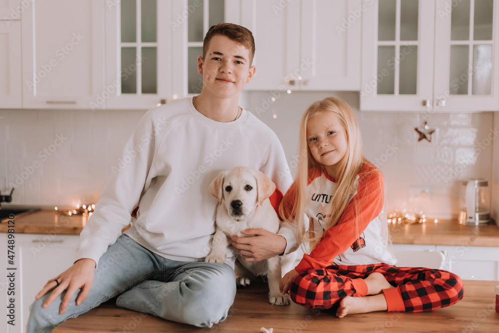 children with their beloved dog are sitting in the Christmas kitchen. family pastime. lifestyle. brother and sister, boy and girl play and fool around with a pet. space for text. High quality photo children with their beloved dog are sitting in the Christmas kitchen. family pastime. lifestyle. brother and sister, boy and girl play and fool around with a pet. space for text. High quality photo