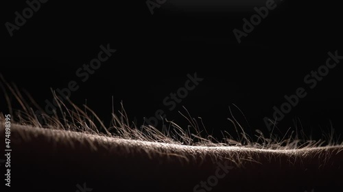 Human hair standing on end photo