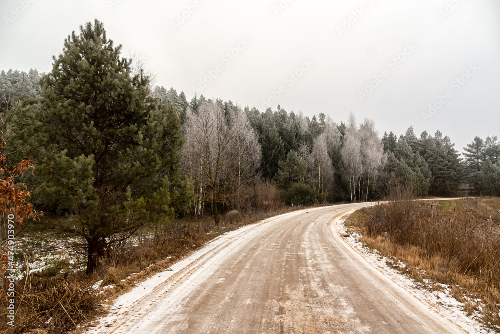 Zimowy dzień ze szronem na Podlasiu, Polska