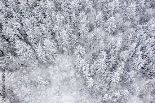 Wald schneebedeckt von oben