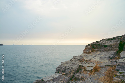 Sea view with sunlight dry grass on the gray rocks in sea with calm wales, colorful image.