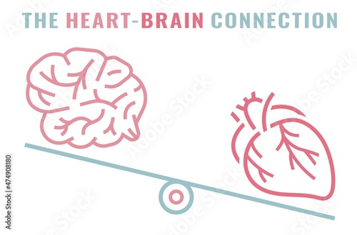 Heart-brain connection. Health of the heart and mind are intertwined.